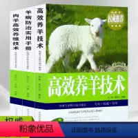 [正版]高效养羊大全全套3册肉羊高效养殖技术羊病综合预防治疗实用手册快速诊治波尔黑山羊养殖技术羊舍圈建造养羊技术书籍大
