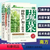 [正版]南方蔬菜种植生产加工新技术+病虫害与防治新农村新技术致富金钥匙丛书专家权威版蔬菜育苗主要蔬菜病虫害防治农药使用