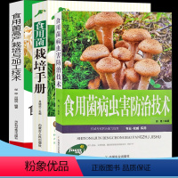 [正版]食用菌高产栽培与加工技术病虫害防治食用菌栽培分类市场分析平菇香菇金针菇猴头菇鸡腿菇杏鲍菇栽培场所设计农场生态化