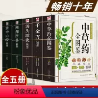 [正版]全5册图解黄帝内经全集中草药全图鉴汤头歌诀千金方四部医典精版本草纲目中医基础理论书籍零基础学中医入门知识大全医