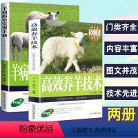 [正版]2册养羊技术书籍 大全高效养羊+羊病防治实用手册综合治疗全书快速诊治畜牧兽医专业养殖书籍大全基础知识科学生态饲