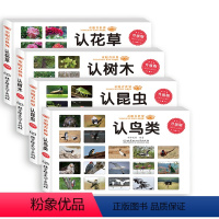 认树木 认鸟类 认昆虫 认花草 [正版]童眼看世界全4册认花草树木昆虫鸟类彩色大图书籍儿童百科全书0-2-3-6岁看图识