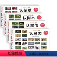 认树木 认鸟类 认昆虫 认花草 [正版]童眼看世界全4册认花草树木昆虫鸟类彩色大图书籍儿童百科全书0-2-3-6岁看图识