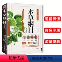 [正版]图解本草纲目彩图版中医基础理论中医书籍大全中药学草药医书中药书实用图典医书籍大全中医中药材书中成药药典草药书大