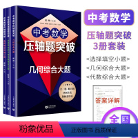 [3本]几何综合大题+选择填空压轴小题+坐标系内的几何代数综合大题 初中通用 [正版]18招破解初中数学代数几何综合题中