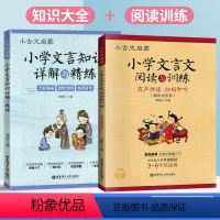 [2册]文言文阅读与训练+文言文详解与精练 小学通用 [正版]小古文启蒙 小学文言文阅读与训练 小学生文言文启蒙读本 语