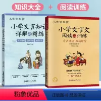 [2册]文言文阅读与训练+文言文详解与精练 小学通用 [正版]小古文启蒙 小学文言文阅读与训练 小学生文言文启蒙读本 语