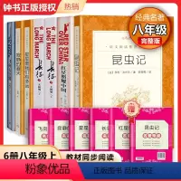 [套装6本bi入]红星+昆虫记+长征+星星+寂静+太空港 [正版]红星照耀中国昆虫记原著无删减八年级名著课外阅读书小说书