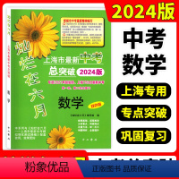 数学 上海 [正版]灿烂在六月 上海市新中考总突破数学 双色版 上海九年级新中考第一轮第二轮数学总复习冲刺用书 中西书局