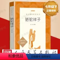 骆驼祥子 [正版]骆驼祥子 七年级下册 老舍原著 人民文学出版社 经典名著学生版无删减初中生课外读物阅读书目 骆驼祥子