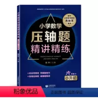 [正版]小学数学压轴题精讲精练 六年级+小升初 6年级上下册 数学压轴题难题解题思路技巧专项训练 全国通用 上海教育出
