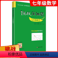 [正版]挑战压轴题 七年级数学 7年级数学 中考压轴题数学解题技巧初中复习资料教辅初中同步系列精讲精练马学斌主编