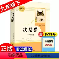 [正版]我是猫 夏目漱石原著 初中初三九年级9年级上下册 配套课外寒暑假阅读书目 人民教育出版社