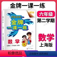 六年级下 数学 六年级 [正版]金牌一课一练 数学六年级下册6年级第二学期数学 试用本 我能考第一 上海沪教版同步 中西