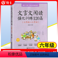 [正版]文言文阅读强化训练120篇 六年级+小升初 小学文言文阅读强化训练 华东理工大学出版社