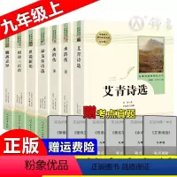 [正版]艾青诗选水浒传原著九年级上册名著泰戈尔诗选唐诗三百首世说新语聊斋志异人民教育出版社初中生初三课外阅读书籍