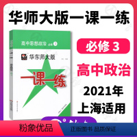 [正版]华东师大版一课一练 高中思想政治 必修3 政治与法治 高二上册第一学期上海高中政治同步课时训练 华师大一课一练