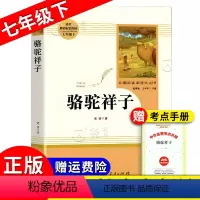 [正版]骆驼祥子人民教育出版社 七年级下册 老舍原著完整版无删减 初一配套课外寒暑假阅读书目老舍七年级下册骆驼祥子