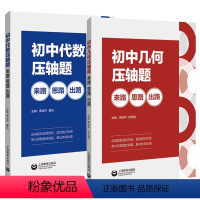 初中数学压轴题(代数+几何) 初中通用 [正版]七八九年级数学专项训练 初中代数几何压轴题来路思路出路初一初二初三数学同