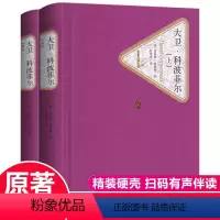 大卫.科波菲尔 [正版]大卫科波菲尔 上下全套2册 查尔斯狄更斯朱生豪译 名著名译丛书系列精装原著无删减小说初高中学生课
