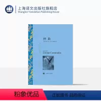 单本全册 [正版]神曲 但丁著 朱维基译 译文名著精选 世界名著 意大利文学小说书籍 名著经典读物 中古文化 上海译文出