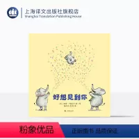 单本全册 [正版]好想见到你 马修·科德尔 杨玲玲 彭懿 译 凯迪克金奖作家治愈之作 《我遇见了一只小灰狼》作家暖心作品