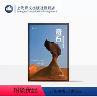 [正版]奇石 译文纪实 彼得海斯勒 何伟 上海译文出版社