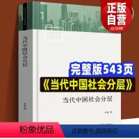 [正版] 中国社会学经典文库 当代中国社会分层 生活书店出版 作者李强教授 中国当代社会学 变化理论报告论文 通俗易懂