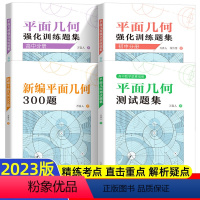 平面几何强化训练+300题(4册) 高中通用 [正版]中科大 初中数学平面几何强化训练题集 初中分册 万喜人解题规律方法