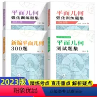 平面几何强化训练+300题(4册) 高中通用 [正版]中科大 初中数学平面几何强化训练题集 初中分册 万喜人解题规律方法