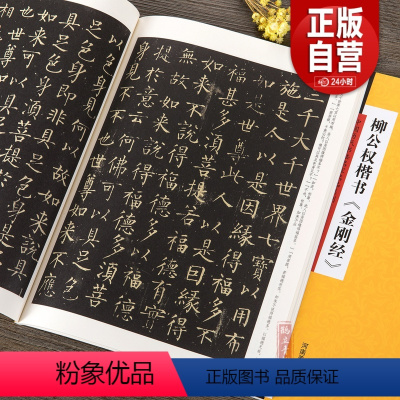 [正版]书籍 柳公权楷书 中国历代书法名家名品系列 吴行编 柳体毛笔楷书书法字帖临摹范本 简体旁注 中国唐代 河南美术