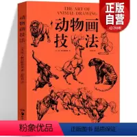 [正版] 动物画技法 结构动态分析漫画 庚赫尔脱格伦 成人学生绘画临摹技法要诀教程动漫素描图例大全兽类动物形体 山东美