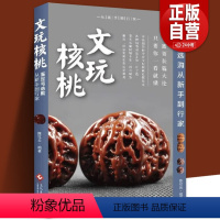 [正版] 文玩核桃鉴定与选购 从新手到行家 核桃表妹陈红云二十年藏玩秘籍 核桃把玩新手到行家艺术鉴赏书收藏指南书 核桃
