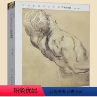 [正版]巴洛克素描 西方素描语言经典 肖进编 西方素描经典图说艺术 鲁本斯巴洛克大师巴尔格素描写生初步入门教程素描速写