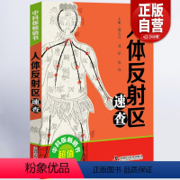 [正版] 人体反射区速查 彩图版 中医基础理论 实用中医速查宝典系列工具书大全资料 头面耳手足部反射区疗法神经穴位图解