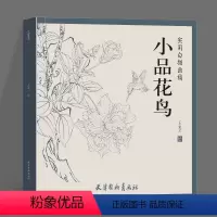 [正版]小品花鸟 王金才 天津杨柳青画社 实用白描画稿 工笔画底稿山水花鸟动物白描工笔画谱临摹书手绘线描国画技法练习
