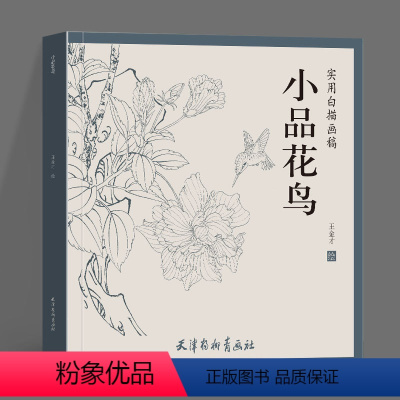 [正版]小品花鸟 王金才 天津杨柳青画社 实用白描画稿 工笔画底稿山水花鸟动物白描工笔画谱临摹书手绘线描国画技法练习