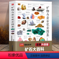 [正版]矿物与岩石完全图鉴 矿石科普百科大全书籍 金刚石玛瑙花岗岩大理石黄土等知识风貌形成成分自然成因特征鉴定鉴别石头