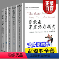 萨提亚+海灵格 22册 [正版]新书全套22册萨提亚家庭治疗模式萨提亚冥想与 新家庭如何塑造人海灵格家庭系统排列世图心