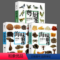 [正版]全3册 海味制作图解1+2 粤厨宝典食材篇2 鲍参翅肚鱼龙虾蟹燕窝鲍鱼生活菜谱粤菜广东菜食谱制作方法煎炸煮焖