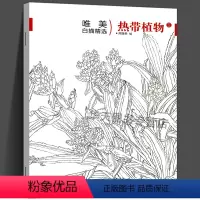 [正版]唯描精选 热带植物3 国画技法解析花卉鸟工笔画册集/勾线画谱底稿素材/初学者美术技法/绘画爱好者临摹图书籍美术