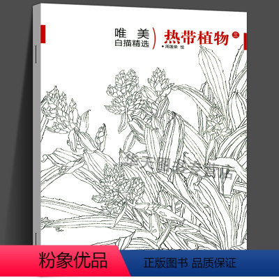 [正版]唯描精选 热带植物3 国画技法解析花卉鸟工笔画册集/勾线画谱底稿素材/初学者美术技法/绘画爱好者临摹图书籍美术