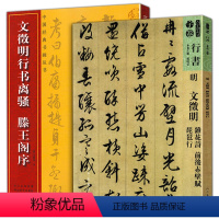 [正版]全2册 中国经典书画丛书文徵明行书离骚滕王阁序+文徽明杂花诗 前后赤壁琵琶行硬软毛笔行书书法习字帖 文徵明临