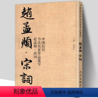 [正版]大尺寸8开赵孟頫宋词 集字古诗词行书字帖 中国历代书法名家作品集字 赵孟俯繁简对照毛笔五柳先生传书法字帖临摹楷