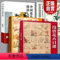 [正版]全套4册没骨花卉日课+没骨蔬果日课+中国花鸟画技法+陆抑非课徒稿没骨花鸟没骨画工笔画恽寿平国画基础入门教程临摹