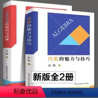 [正版]全2册 代数的魅力与技巧+平面几何的知识与问题中科大初中数学单墫著初一二三解题规律方法与技巧代数789年级20