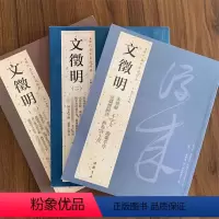 [正版]全3本文徵明历代名家书法经典繁体旁注楷书毛笔字帖繁原版墨迹孙宝文文征明滕王阁序千字文草堂十志小楷前后赤壁赋