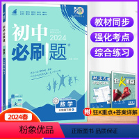 数学 八年级下 [正版]2024春新版初中八年级下册数学人教版RJ 初中初二数学辅导书资料书初中八下练习题册八年级下册数