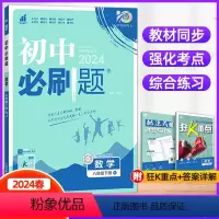 数学 八年级下 [正版]2024春新版初中八年级下册数学人教版RJ 初中初二数学辅导书资料书初中八下练习题册八年级下册数