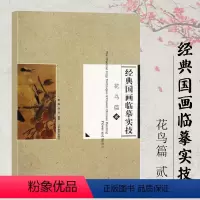 [正版]满2件减2元经典国画临摹实技花鸟篇2二杨柳孙悦编著辽宁美术出版社宋人花鸟工笔白描花鸟绘画步骤图技巧解析临摹范本